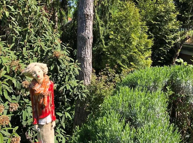 Adagio * بادنويلر